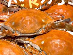 -富淳饭店(世纪公园店)