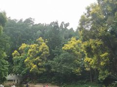 -深圳国际园林花卉博览园