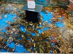 -盒马鲜生(189购物中心店)