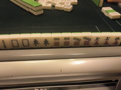 -中家鑫园温泉酒店鑫悦汤泉