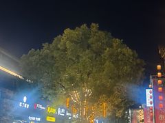 -黎阳老街