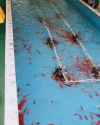 -萌宠亲子动物乐园(槐房万达店)