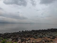 -深圳湾公园(南山区)