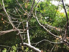 -常州古运河南大街文化旅游区-人民公园