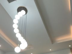 -半岛宠物医院24小时(科华中路店)