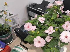 -上海嘉宁·心理咨询中心