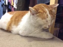 点击看大图 -HD HAIR STYLE