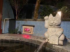 -宜春明月山维景国际温泉度假酒店