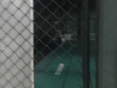 -东丽温泉羽毛球