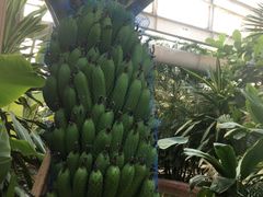 -南宫温泉水世界