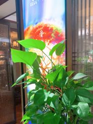 -東方名剪·ETSTYLE