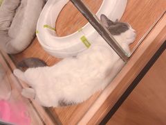 -狗道宠物(常熟印象城店)