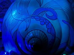 -贝壳梦幻世界