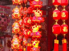 -风云岭森林公园