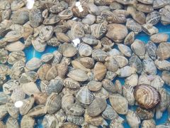 -集杰尚品海鲜烤肉自助餐厅(乳山振华店)