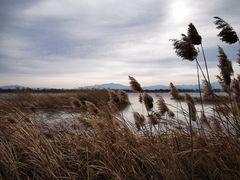 -野鸭湖国家湿地公园