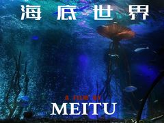 -沈阳海洋探索中心