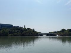 -华侨城湿地公园