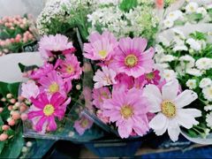 -循礼门鲜花花市(武汉循礼门店)