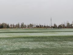 -瀛海足球主题公园