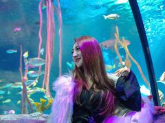 -沈阳海洋探索中心