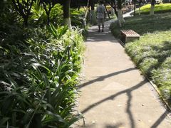 -龙头寺公园