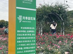 -立新湖公园
