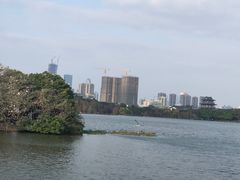 -海珠湖公园