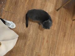 -春笙食堂.丼饭拉面寿司(GOGO新天地店)