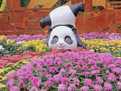 -南山植物园