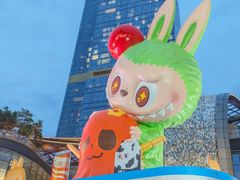 -泡泡玛特POPMART(天环购物中心店)