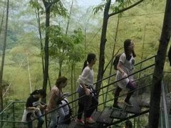 -藏龙百瀑风景区