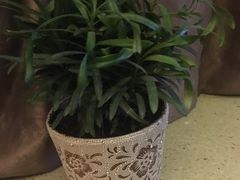 -雲际仙境足浴·影院式·养生·SPA(火车站店)