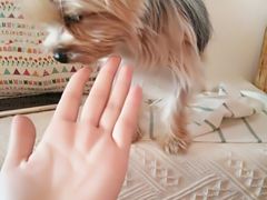 -春风十里咖啡馆