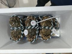 -祥鹤龙虾螃蟹