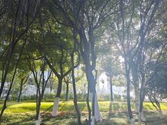 -天鹅湖体育公园