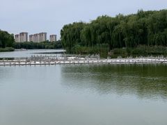 -河北省园博园