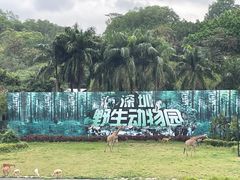-深圳野生动物园