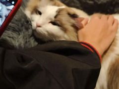 -白兔子密室(长寿路店)