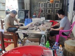 -章记正宗南岗鱼蛋火锅