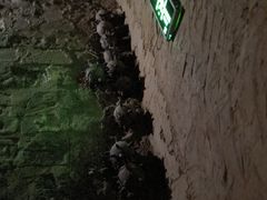 -水洞沟旅游区