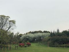-尚贤河湿地