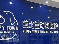 -芭比堂动物医院·24小时·眼科中心(深圳中心)