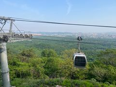 -紫金山山顶公园