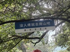 -石台牯牛降景区