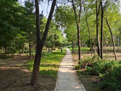 -绿堤公园