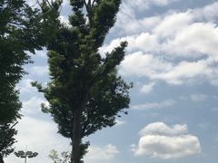 -桂溪生态公园