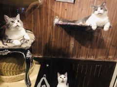 -吉庆街美食广场