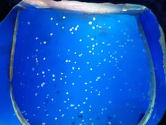 -白鹿仓冰雪海洋世界