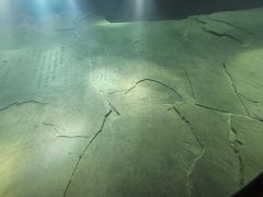 -白鹤梁水下博物馆